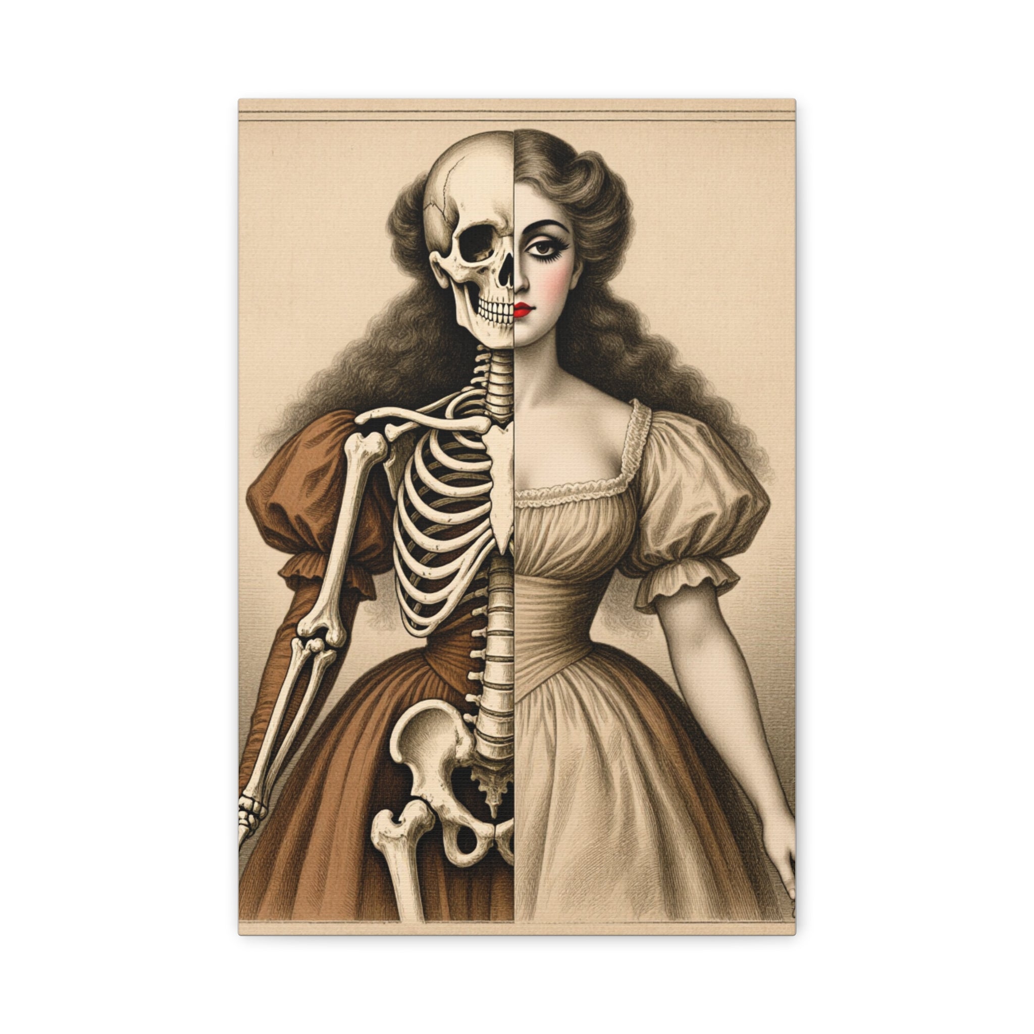 Seraphine: Antique Anatomy - Victorian Half-Skeleton Portrait Canvas