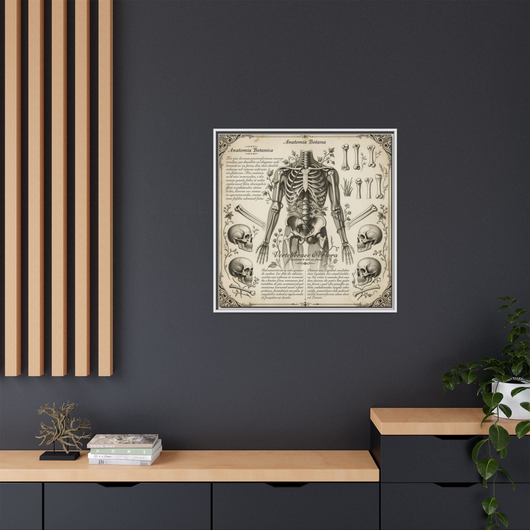 Dark academic anatomy goth skeletal study gallery art Matte Canvas, Framed (Multi-color)