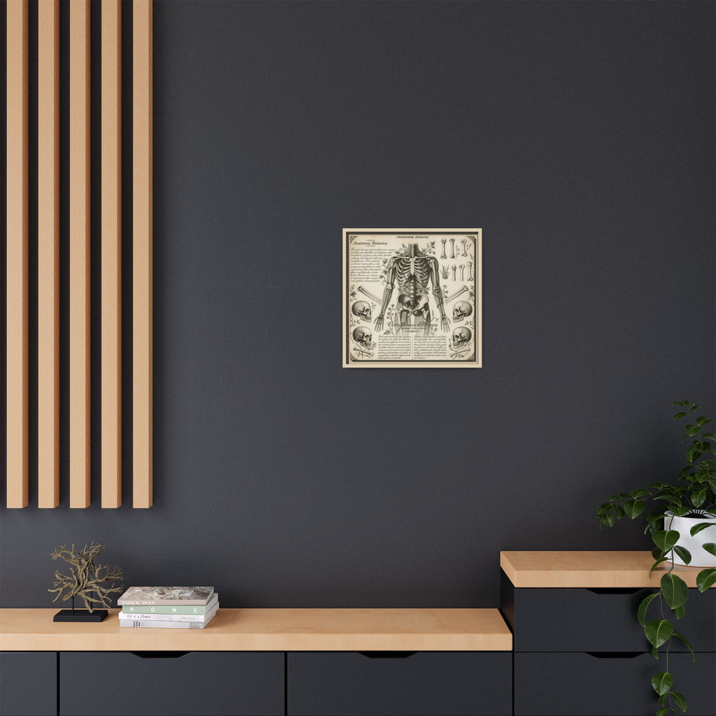 Dark academic anatomy goth skeletal study gallery art Matte Canvas, Framed (Multi-color)