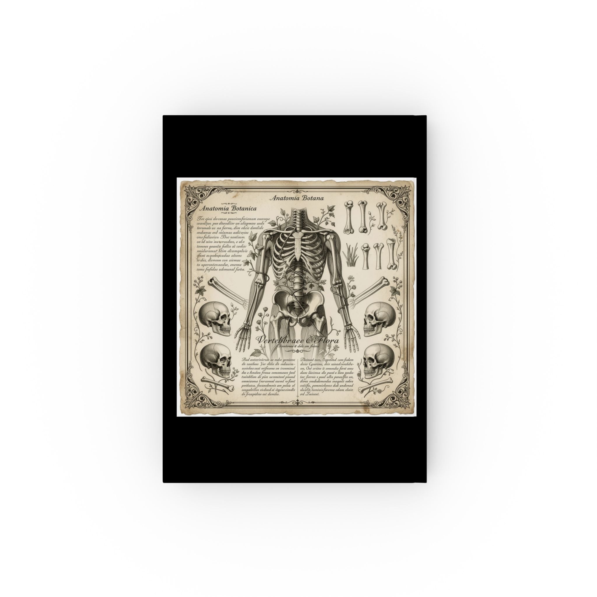 The Anatomist's Journal — Dark Academic Hardcover | Botanical Ribcage Study Notebook