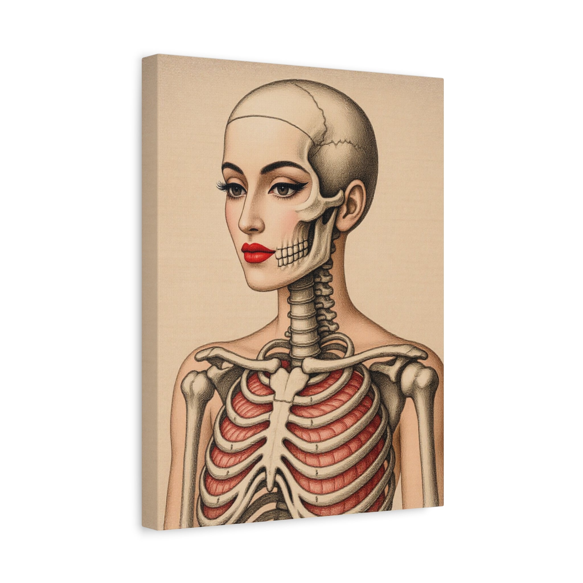 Saundara - Antique Anatomical Lady Portrait Canvas – Vintage Medical Art Stretched Print