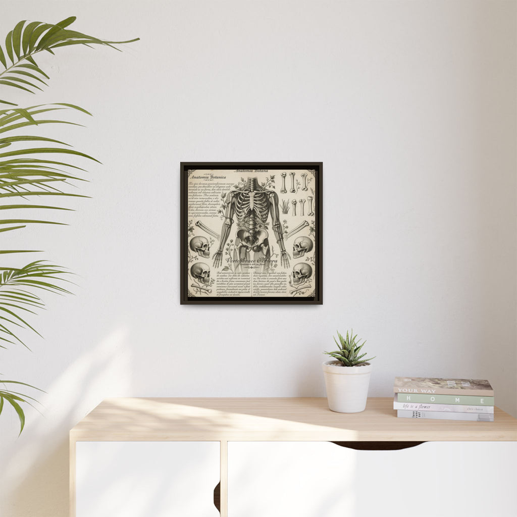Dark academic anatomy goth skeletal study gallery art Matte Canvas, Framed (Multi-color)
