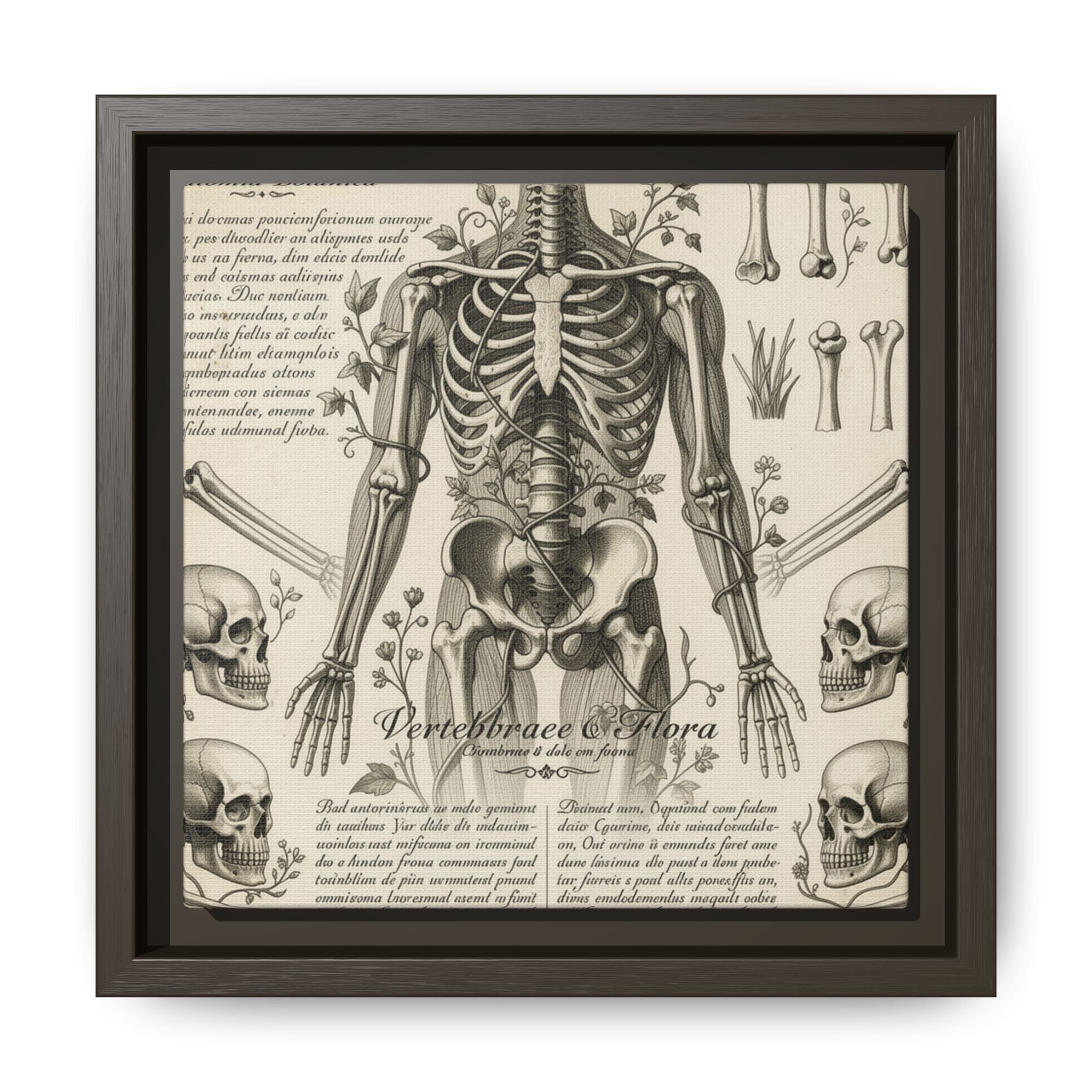 Dark academic anatomy goth skeletal study gallery art Matte Canvas, Framed (Multi-color)
