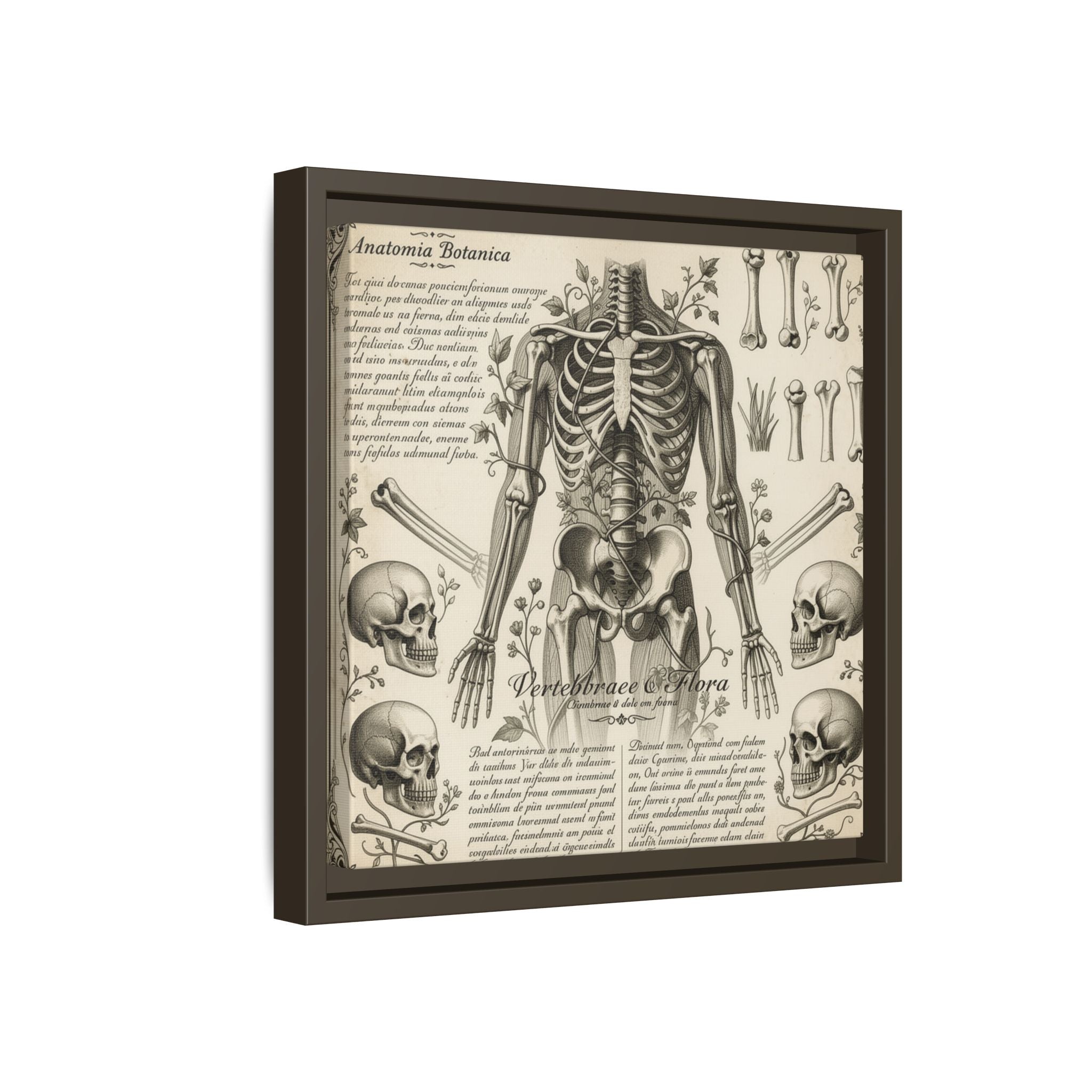 Dark academic anatomy goth skeletal study gallery art Matte Canvas, Framed (Multi-color)