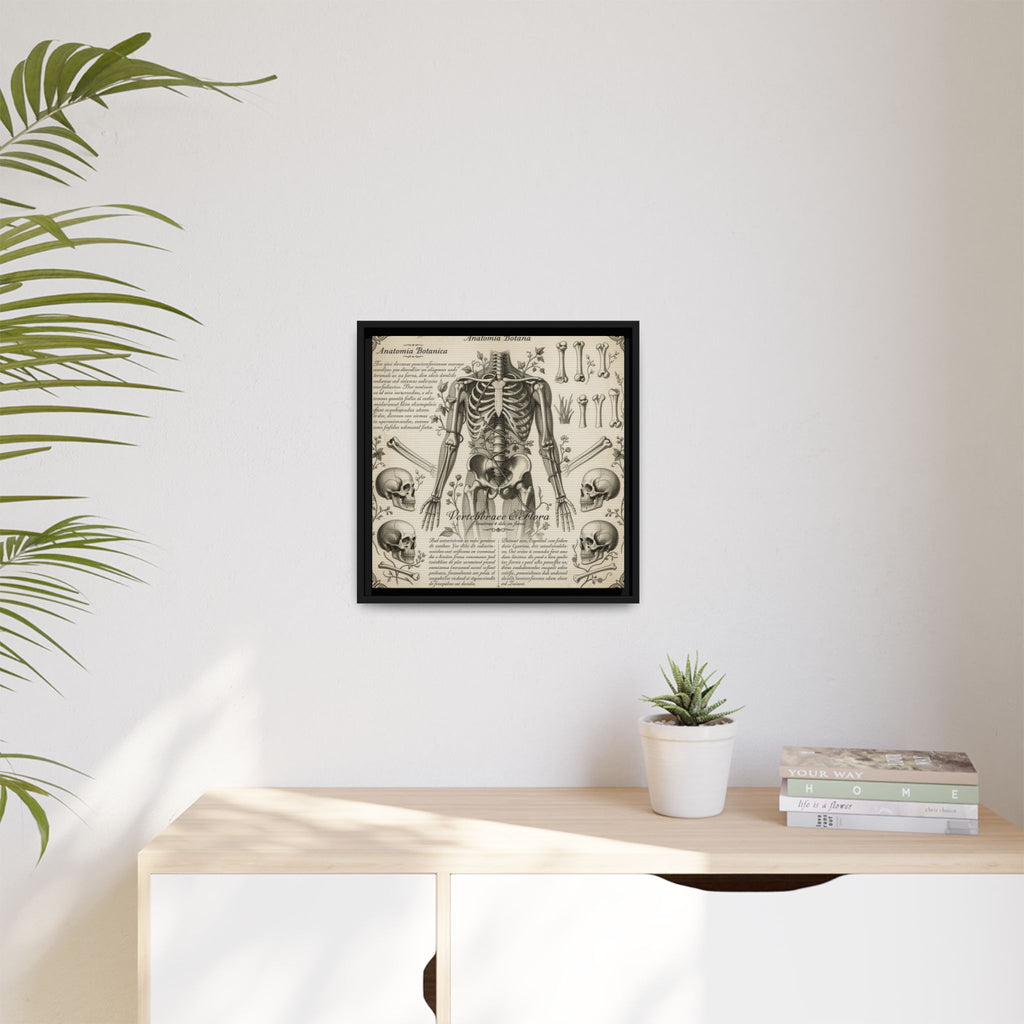 Dark academic anatomy goth skeletal study gallery art Matte Canvas, Framed (Multi-color)