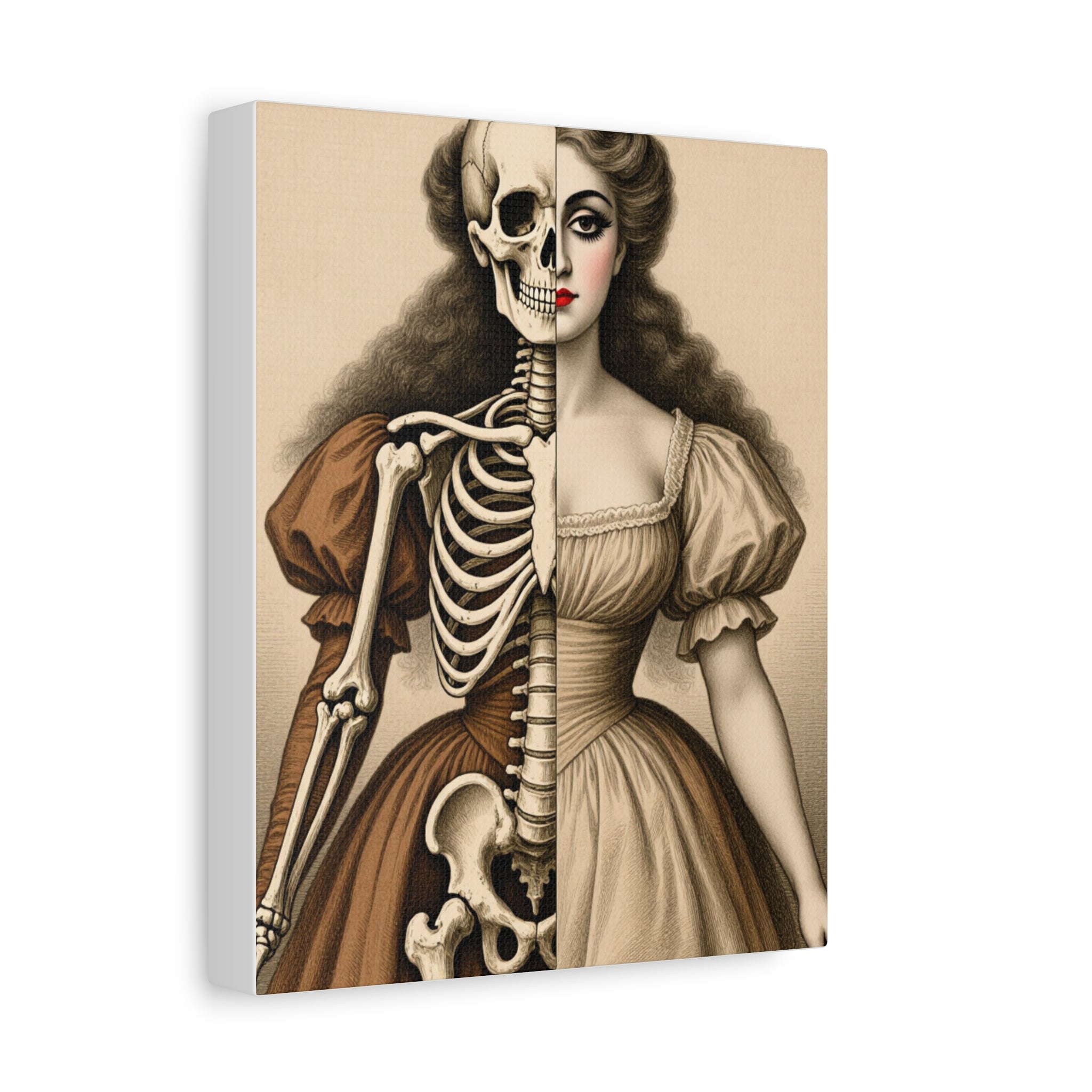 Seraphine: Antique Anatomy - Victorian Half-Skeleton Portrait Canvas