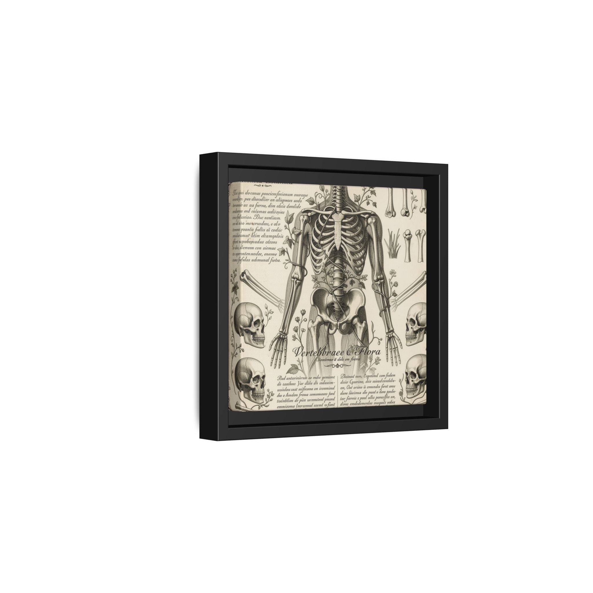 Dark academic anatomy goth skeletal study gallery art Matte Canvas, Framed (Multi-color)