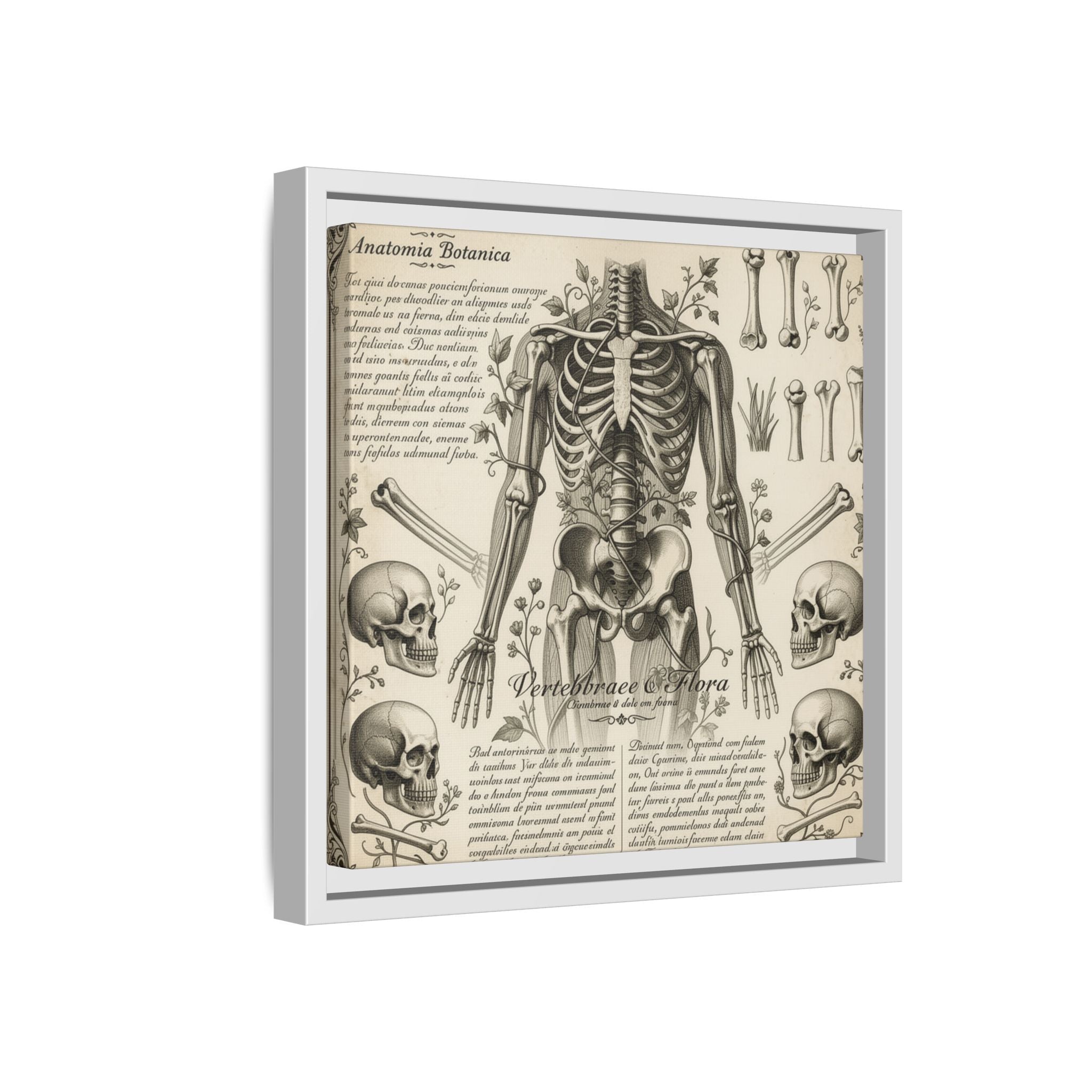 Dark academic anatomy goth skeletal study gallery art Matte Canvas, Framed (Multi-color)