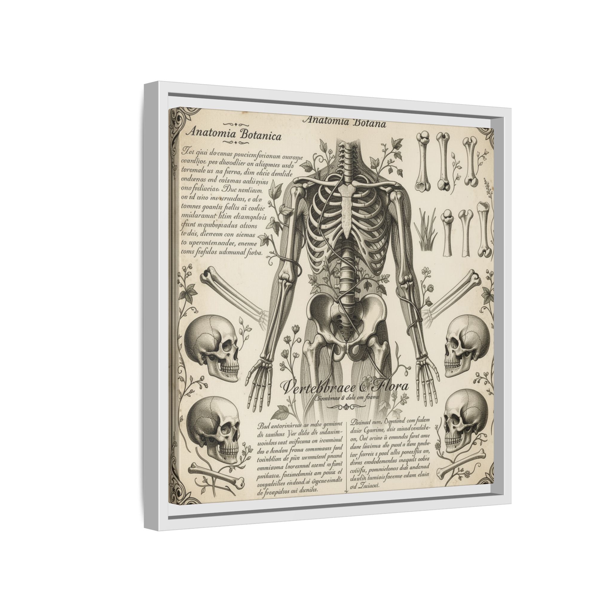 Dark academic anatomy goth skeletal study gallery art Matte Canvas, Framed (Multi-color)