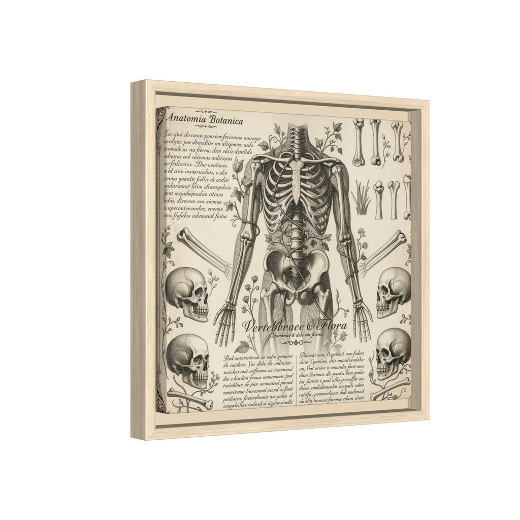 Dark academic anatomy goth skeletal study gallery art Matte Canvas, Framed (Multi-color)