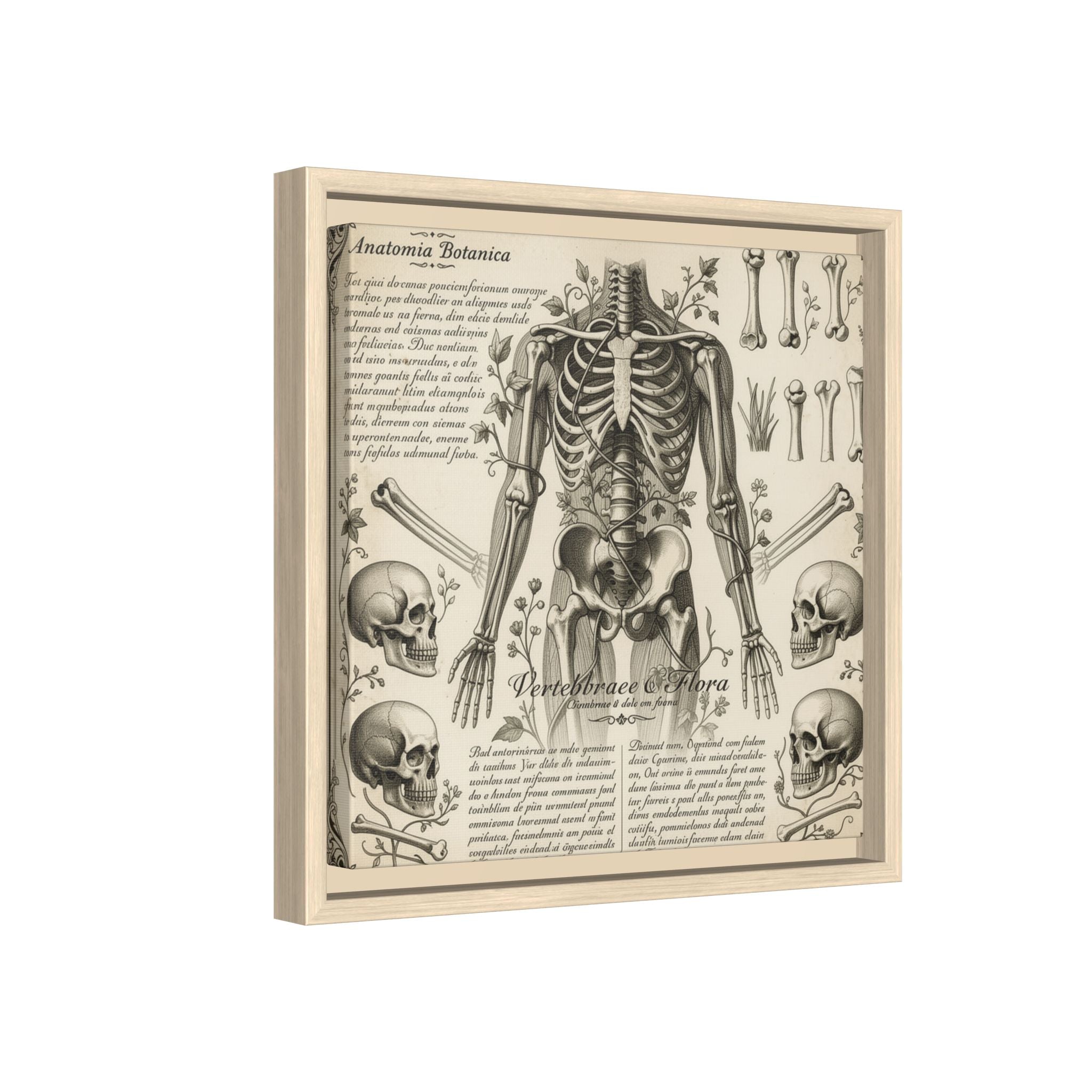 Dark academic anatomy goth skeletal study gallery art Matte Canvas, Framed (Multi-color)