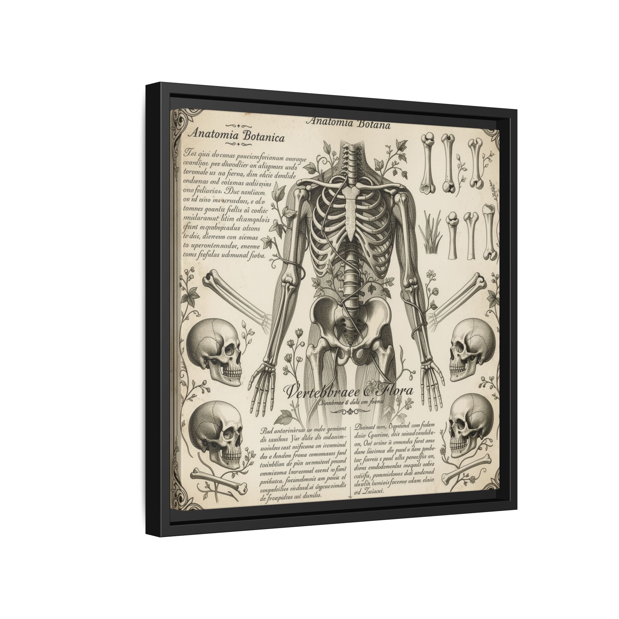Dark academic anatomy goth skeletal study gallery art Matte Canvas, Framed (Multi-color)
