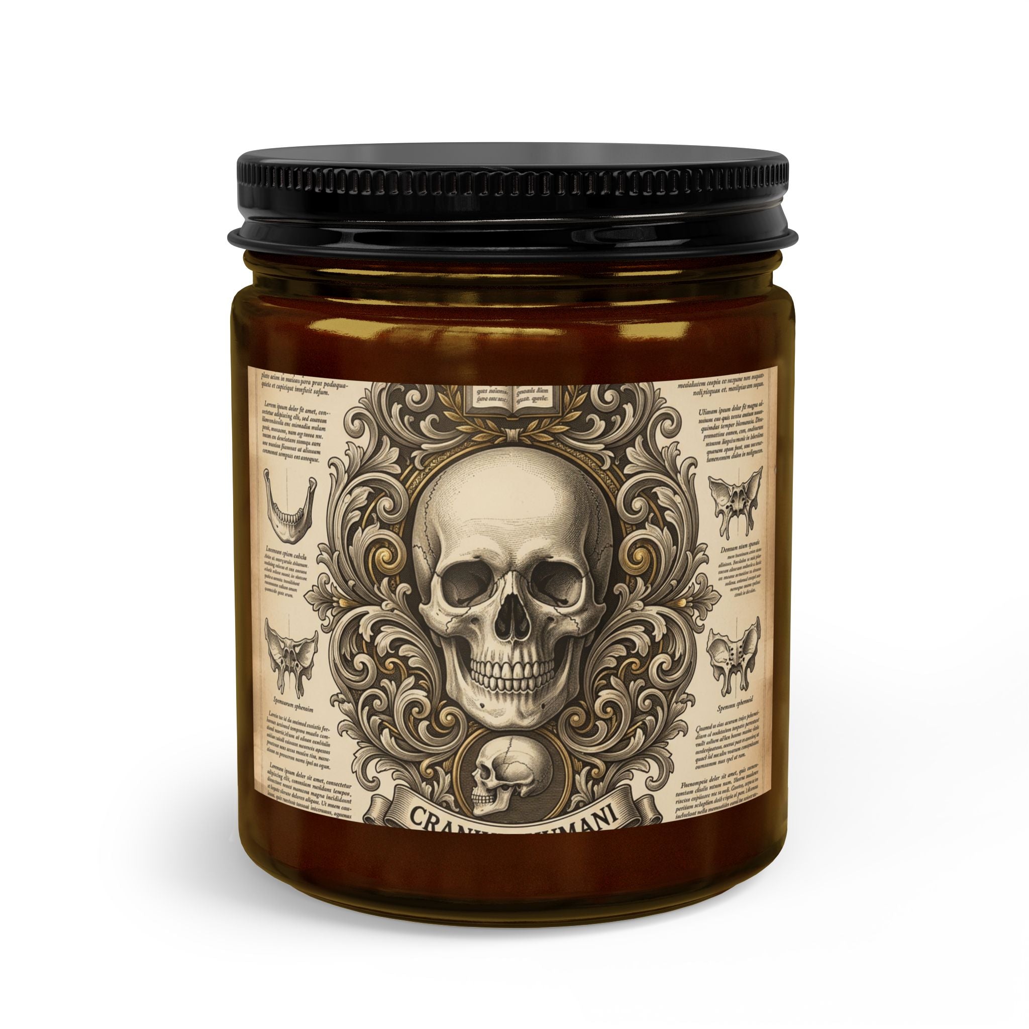 Cranium Humani — Dark Academic Candle Gift Set | Skull Anatomy Candle with Matches & Wick TrimmerI