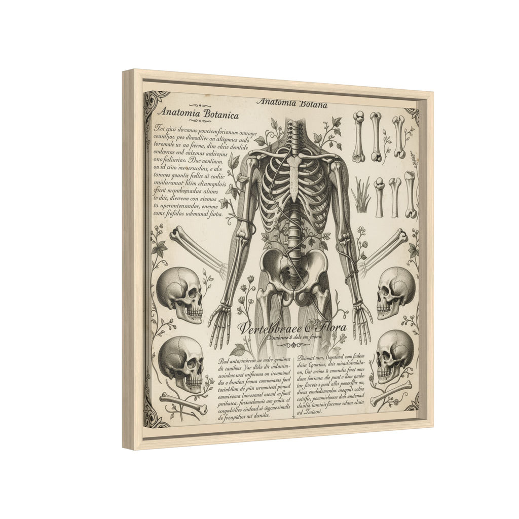 Dark academic anatomy goth skeletal study gallery art Matte Canvas, Framed (Multi-color)