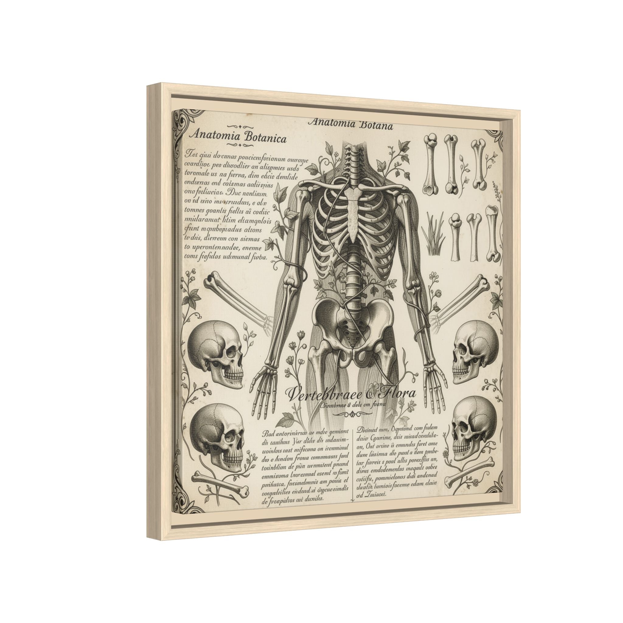 Dark academic anatomy goth skeletal study gallery art Matte Canvas, Framed (Multi-color)