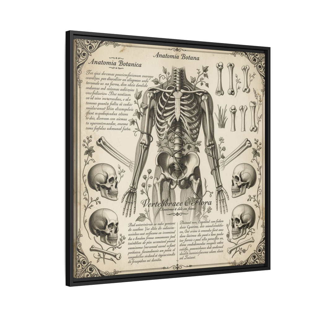 Dark academic anatomy goth skeletal study gallery art Matte Canvas, Framed (Multi-color)