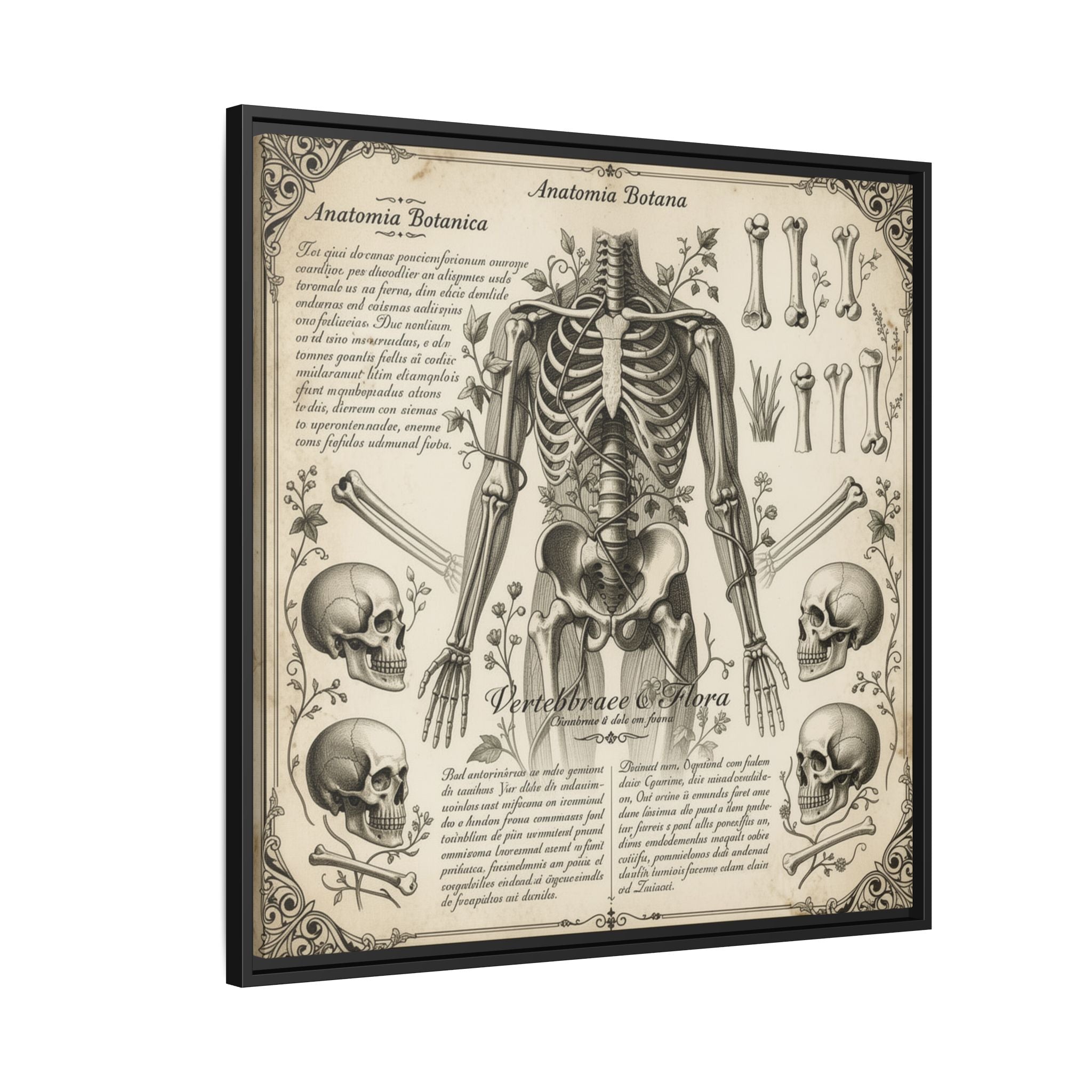 Dark academic anatomy goth skeletal study gallery art Matte Canvas, Framed (Multi-color)