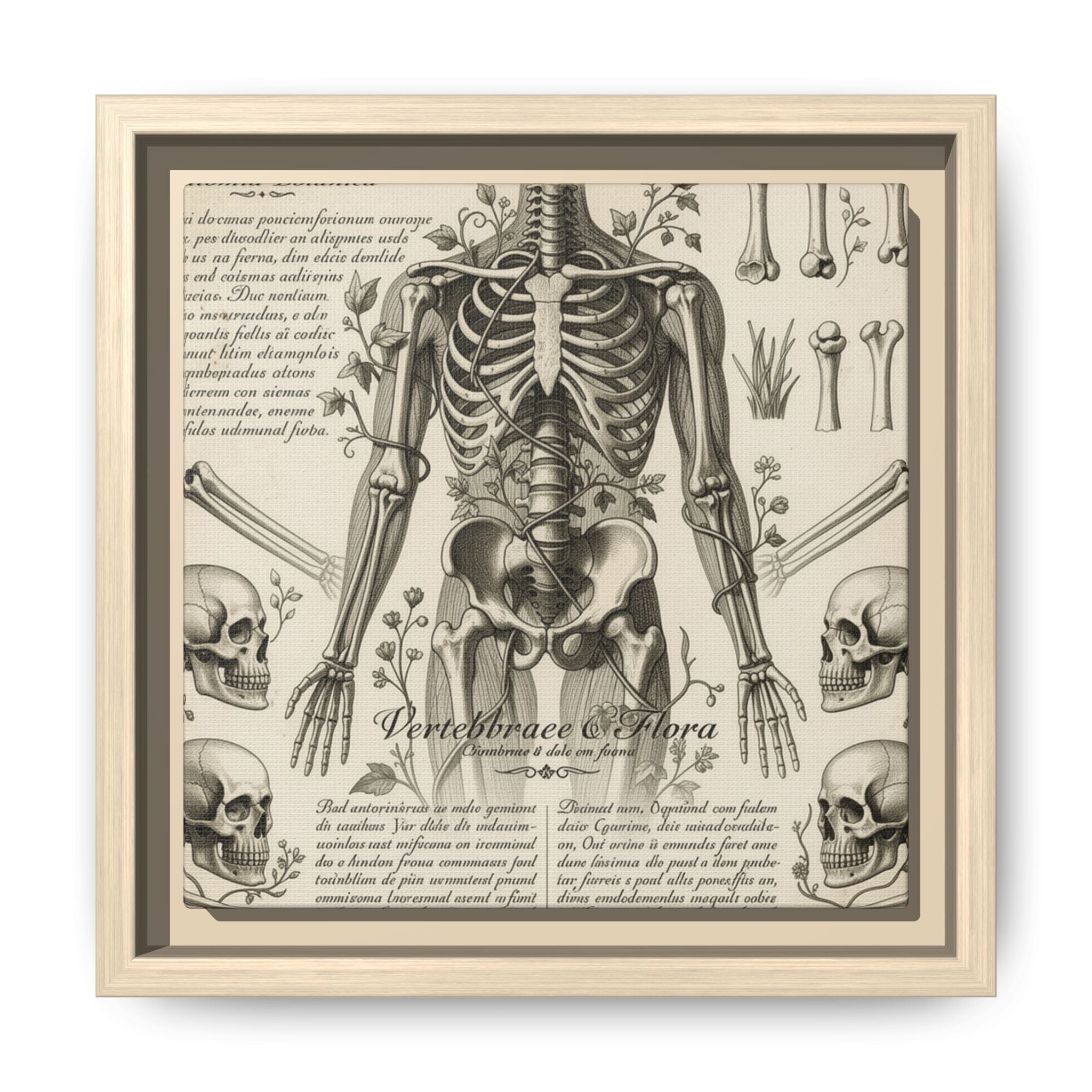 Dark academic anatomy goth skeletal study gallery art Matte Canvas, Framed (Multi-color)