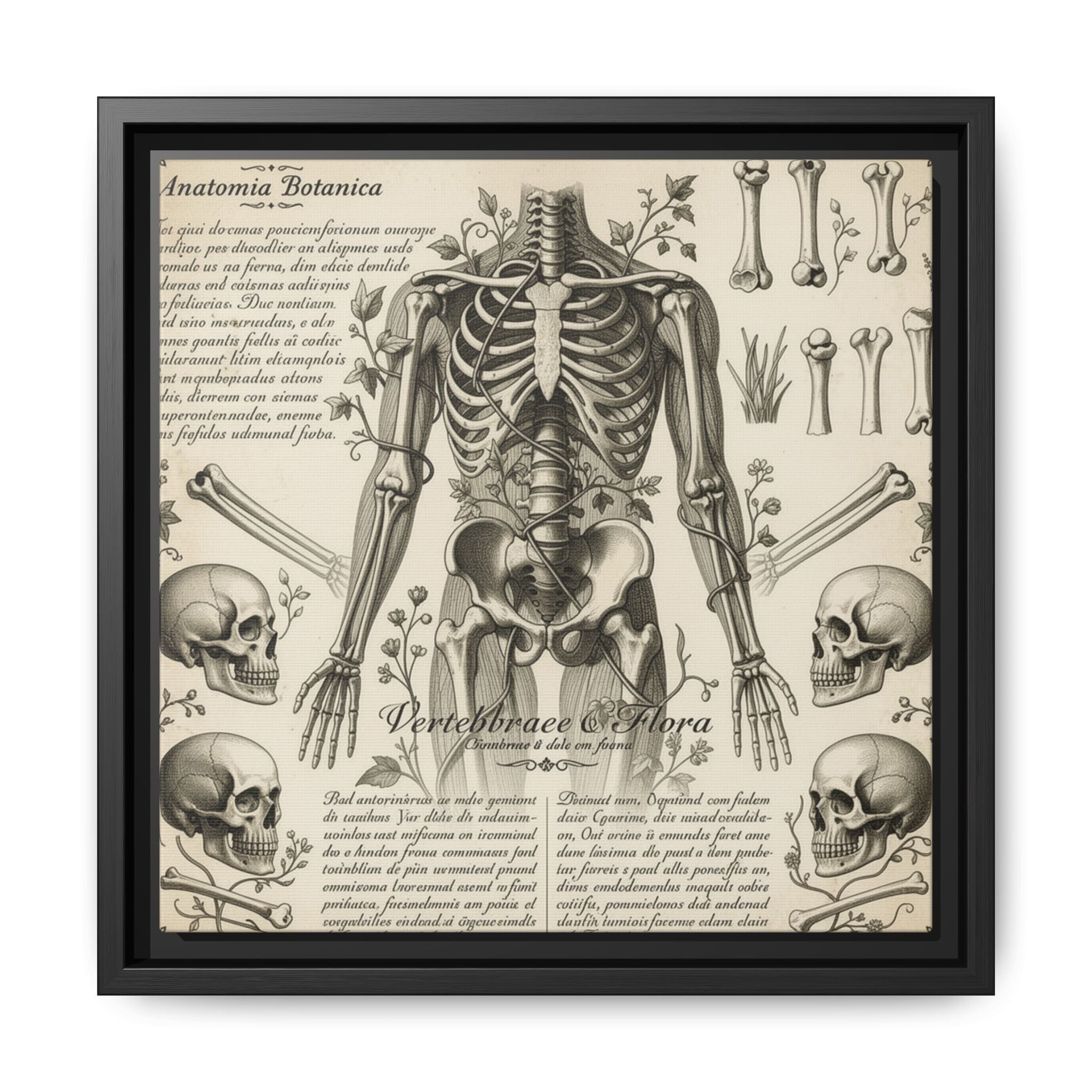 Dark academic anatomy goth skeletal study gallery art Matte Canvas, Framed (Multi-color)