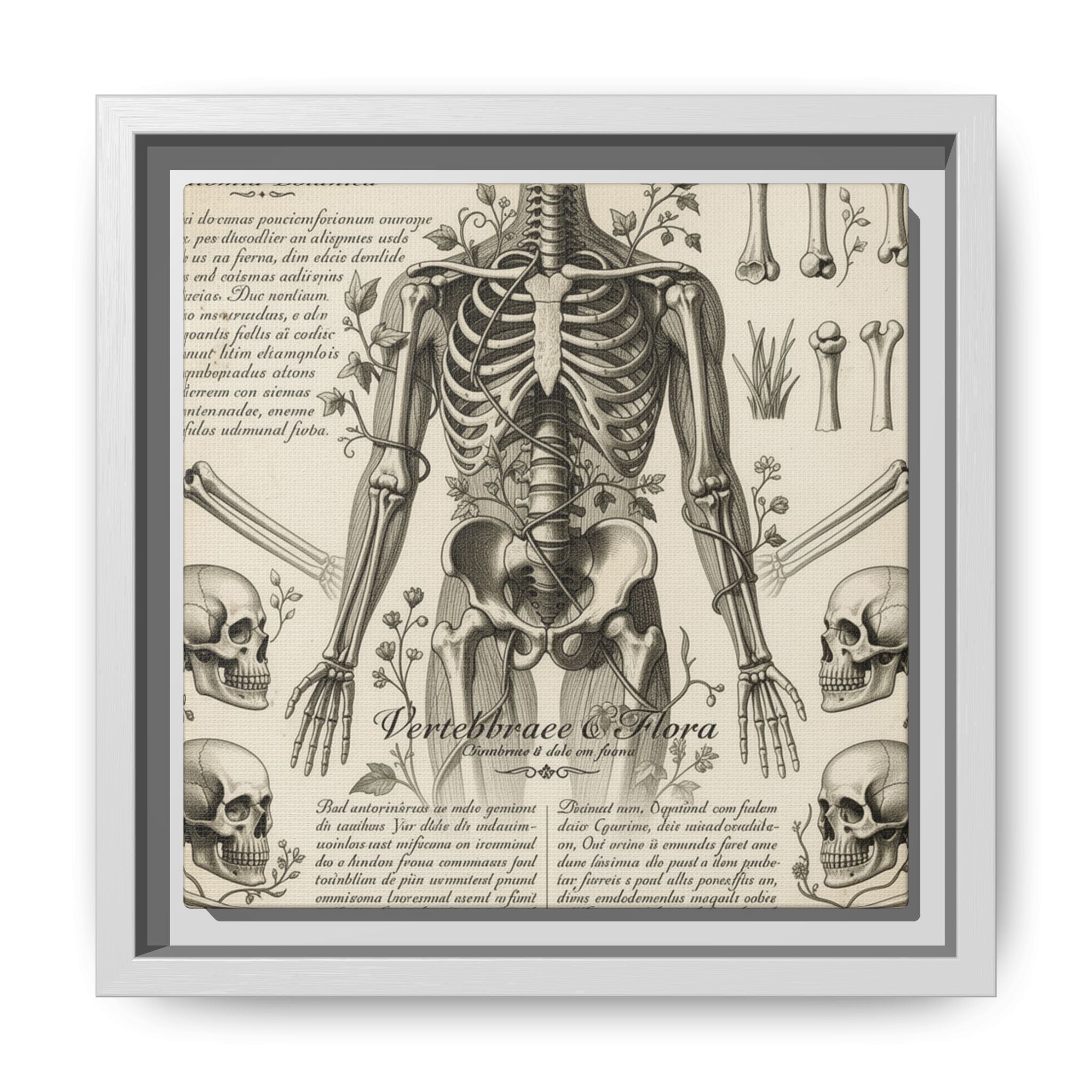 Dark academic anatomy goth skeletal study gallery art Matte Canvas, Framed (Multi-color)