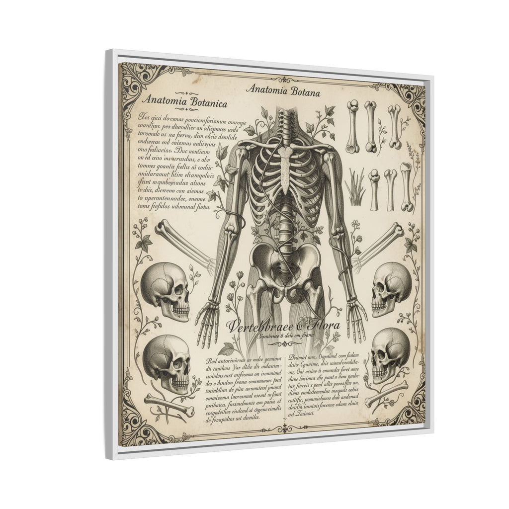 Dark academic anatomy goth skeletal study gallery art Matte Canvas, Framed (Multi-color)