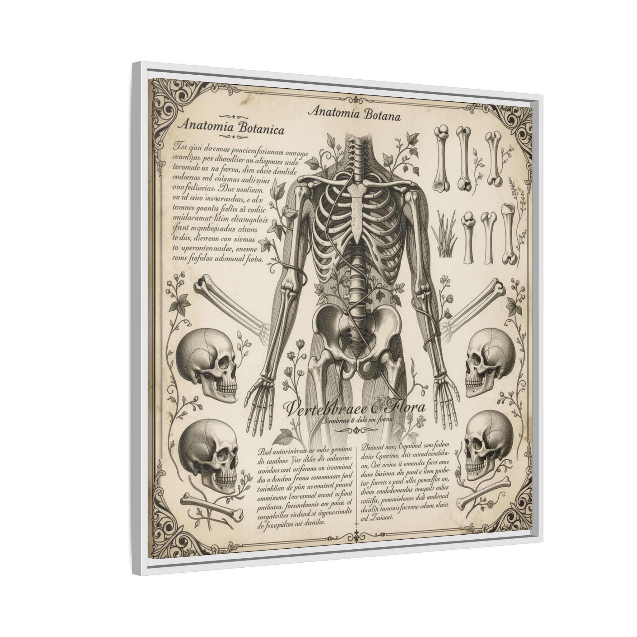Dark academic anatomy goth skeletal study gallery art Matte Canvas, Framed (Multi-color)