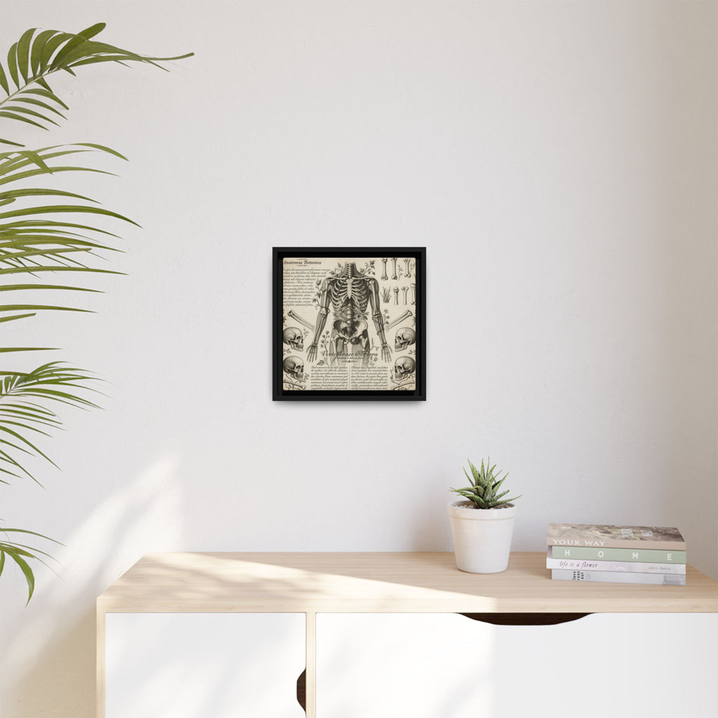 Dark academic anatomy goth skeletal study gallery art Matte Canvas, Framed (Multi-color)
