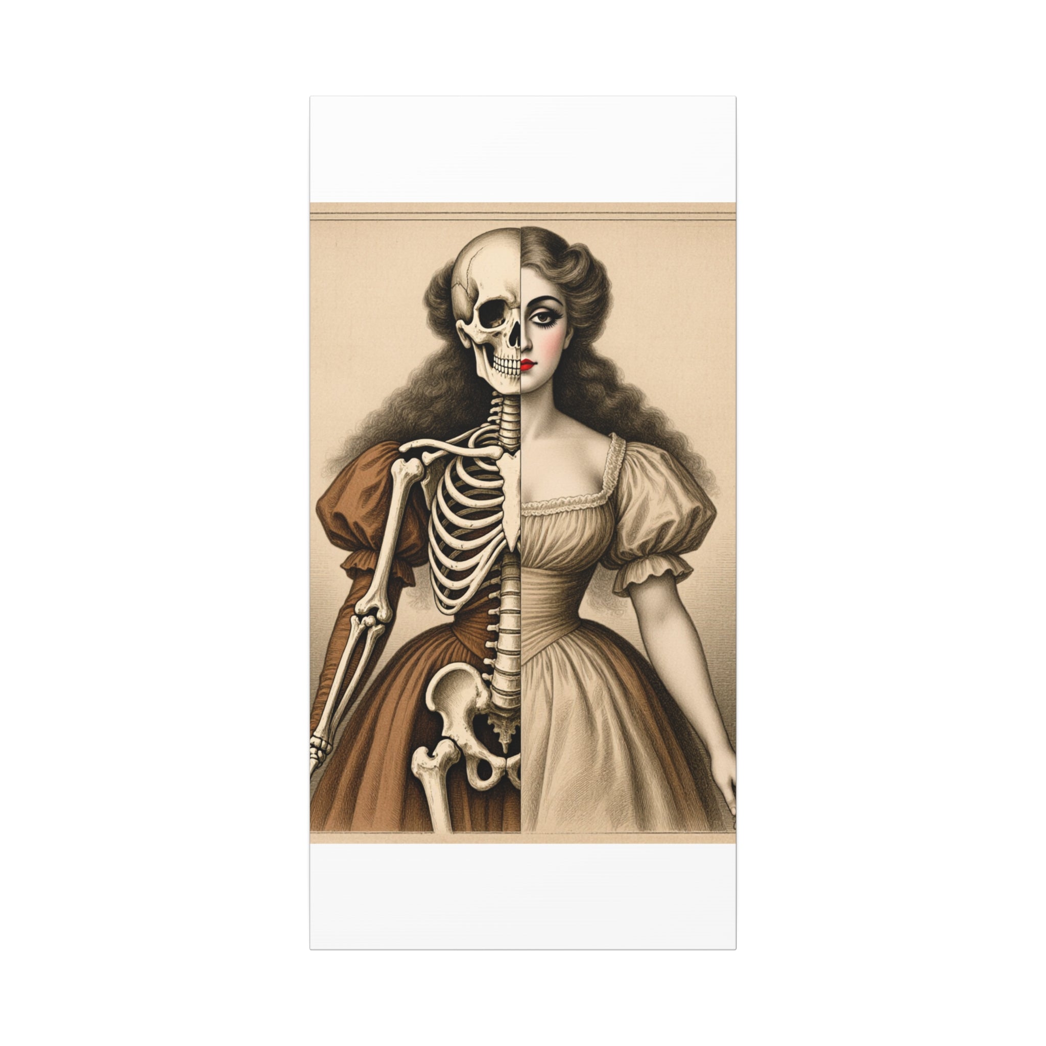 Seraphine: Antique Anatomy - Victorian Half-Skeleton Portrait Canvas