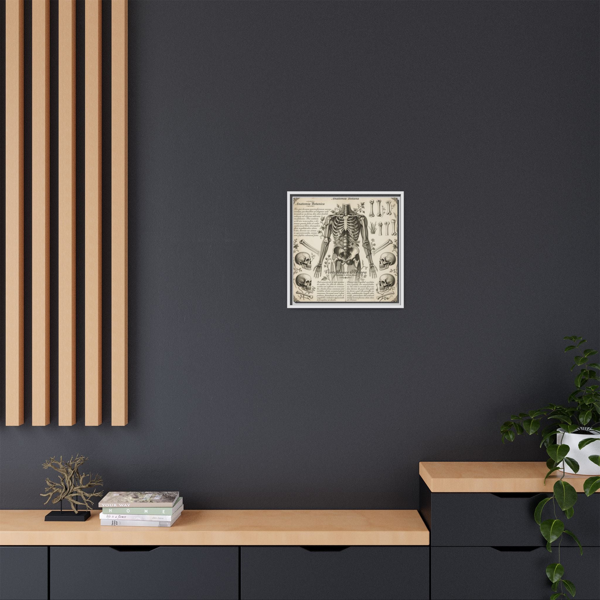 Dark academic anatomy goth skeletal study gallery art Matte Canvas, Framed (Multi-color)