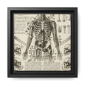 Dark academic anatomy goth skeletal study gallery art Matte Canvas, Framed (Multi-color)