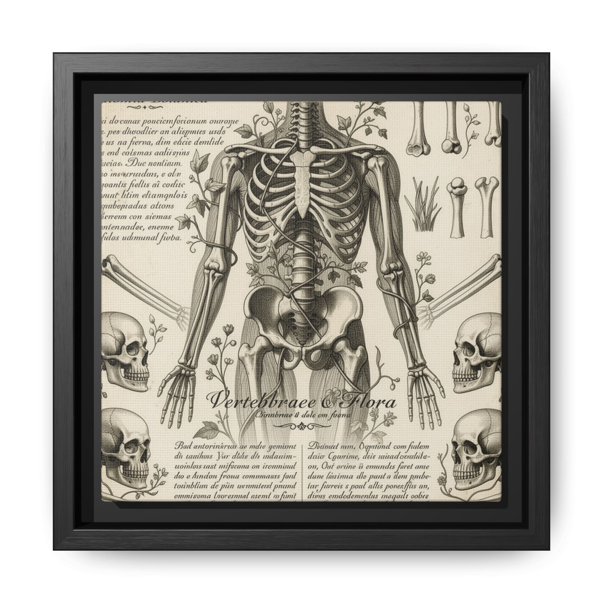 Dark academic anatomy goth skeletal study gallery art Matte Canvas, Framed (Multi-color)