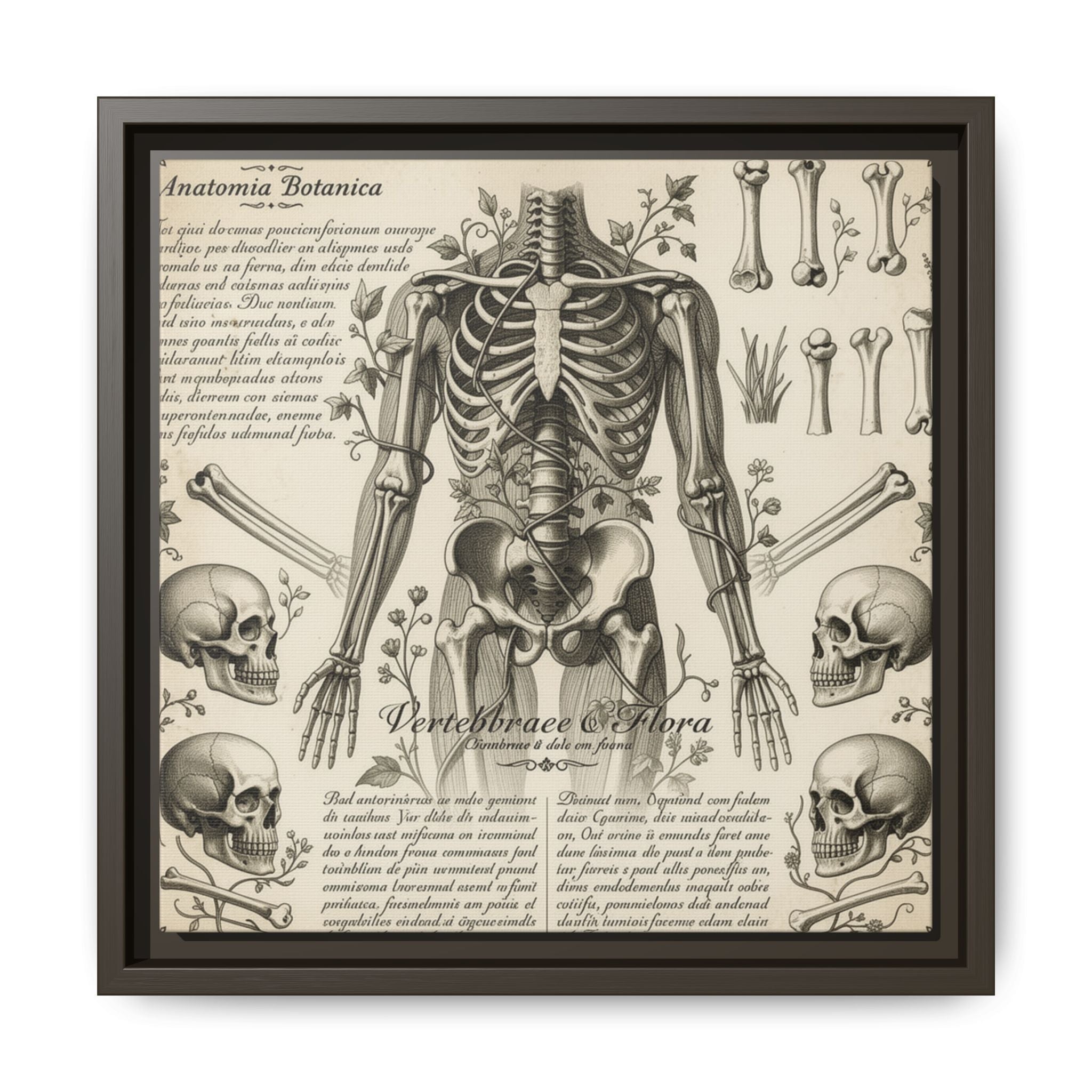 Dark academic anatomy goth skeletal study gallery art Matte Canvas, Framed (Multi-color)