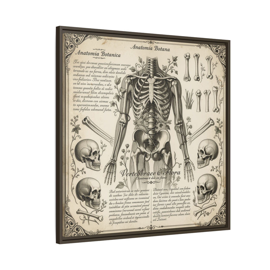 Dark academic anatomy goth skeletal study gallery art Matte Canvas, Framed (Multi-color)