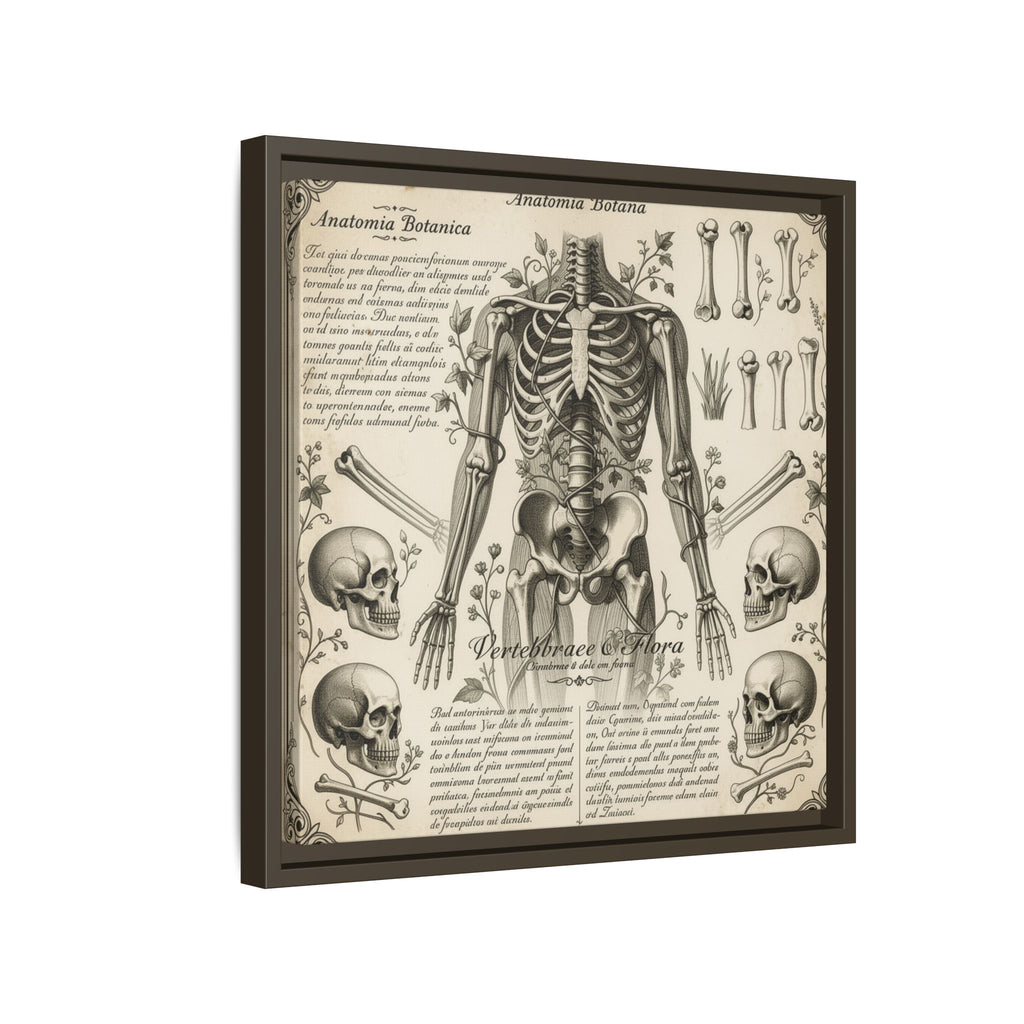 Dark academic anatomy goth skeletal study gallery art Matte Canvas, Framed (Multi-color)