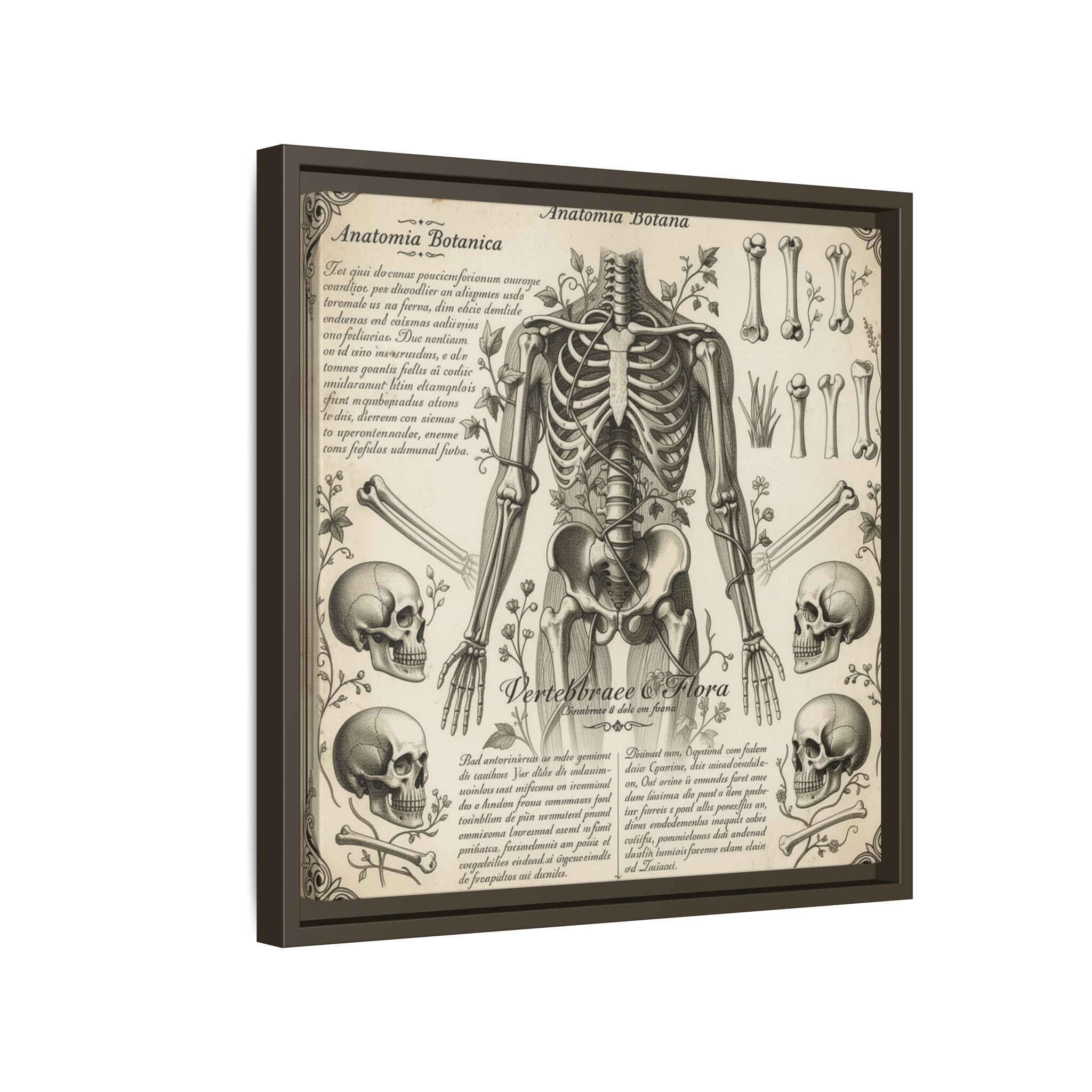 Dark academic anatomy goth skeletal study gallery art Matte Canvas, Framed (Multi-color)