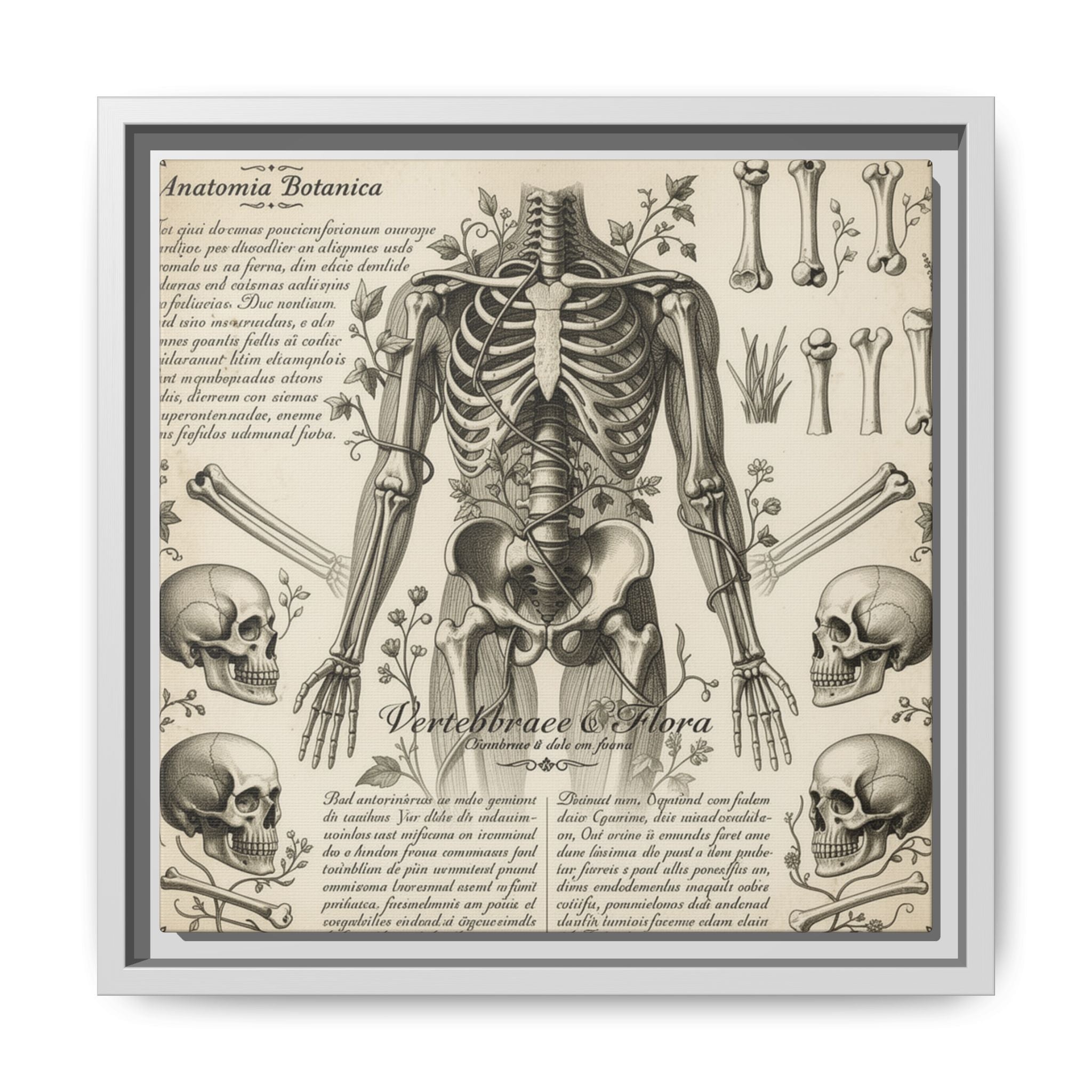 Dark academic anatomy goth skeletal study gallery art Matte Canvas, Framed (Multi-color)